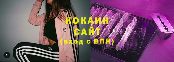 кокс Белокуриха