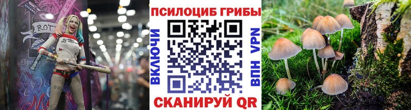 Галлюциногенные грибы ЛСД  Салаир 